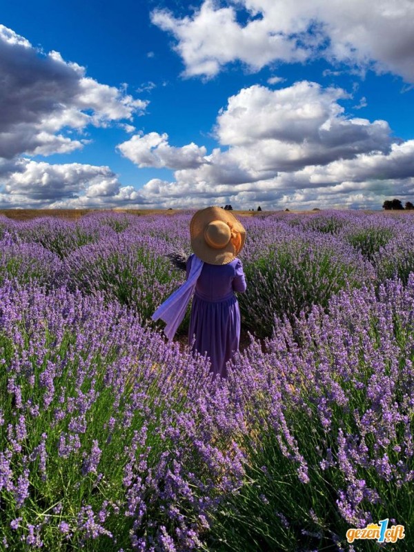 LAVANTA BAHÇELERİ - SALDA  - PAMUKKALE TURU